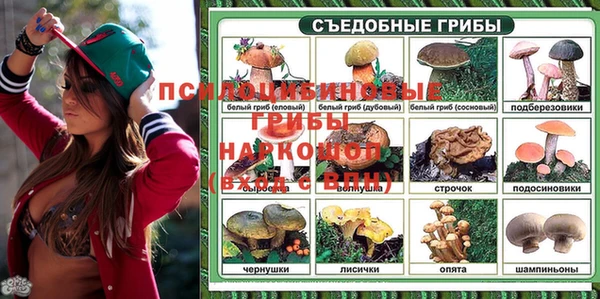 бошки Арсеньев