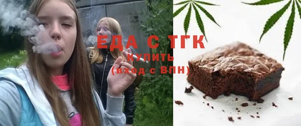 гидра Богородск