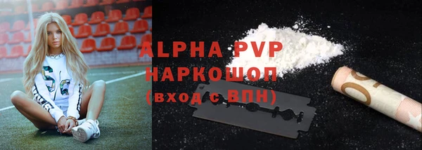 гидра Богородск