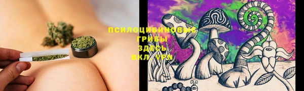 крисы Богородицк