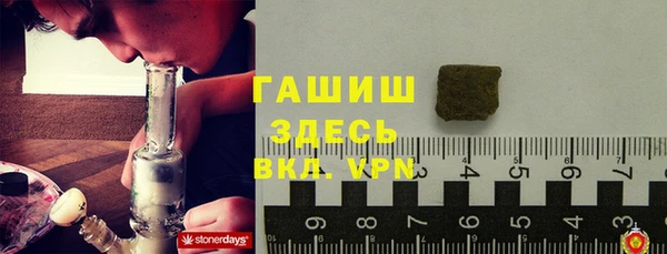 крисы Богородицк