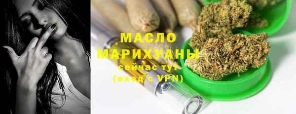 крисы Богородицк