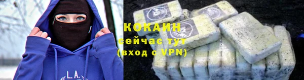 гашик Богданович
