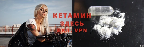 гидра Богородск
