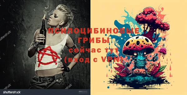 гашик Богданович