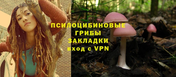 бошки Арсеньев
