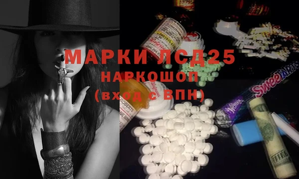 крисы Богородицк