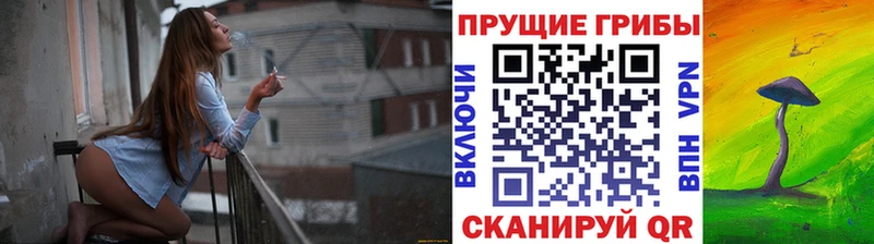 Псилоцибиновые грибы Psilocybe  Сердобск 